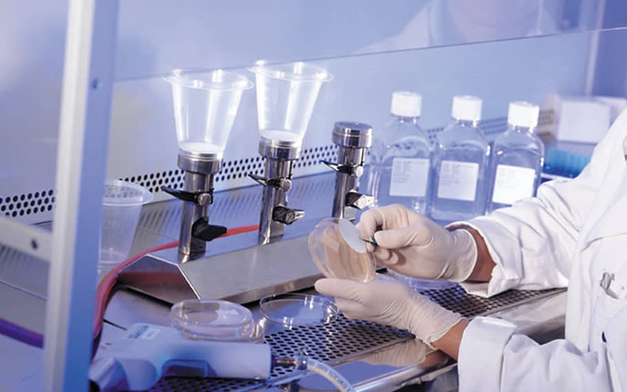 Laboratory Professional at Work